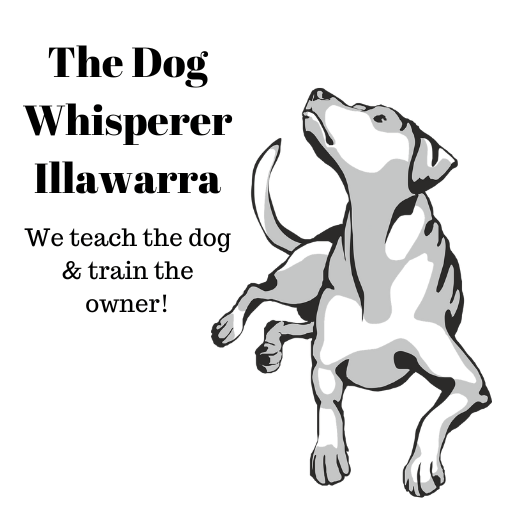 The Dog Whisperer Illawarra